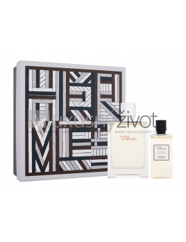Hermes Terre d´Hermes Eau Givrée, parfumovaná voda 100 ml + sprchovací gél 80 ml