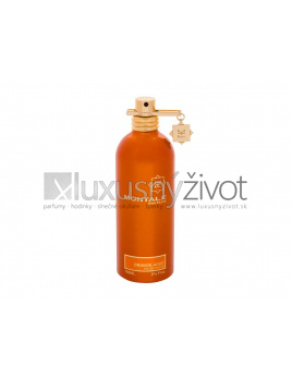 Montale Aoud Orange, Parfumovaná voda 100