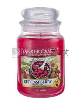 Yankee Candle Red Raspberry, Vonná sviečka 623