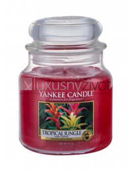 Yankee Candle Tropical Jungle, Vonná sviečka 411
