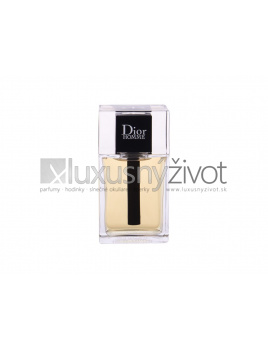 Christian Dior Dior Homme 2020, Toaletná voda 100